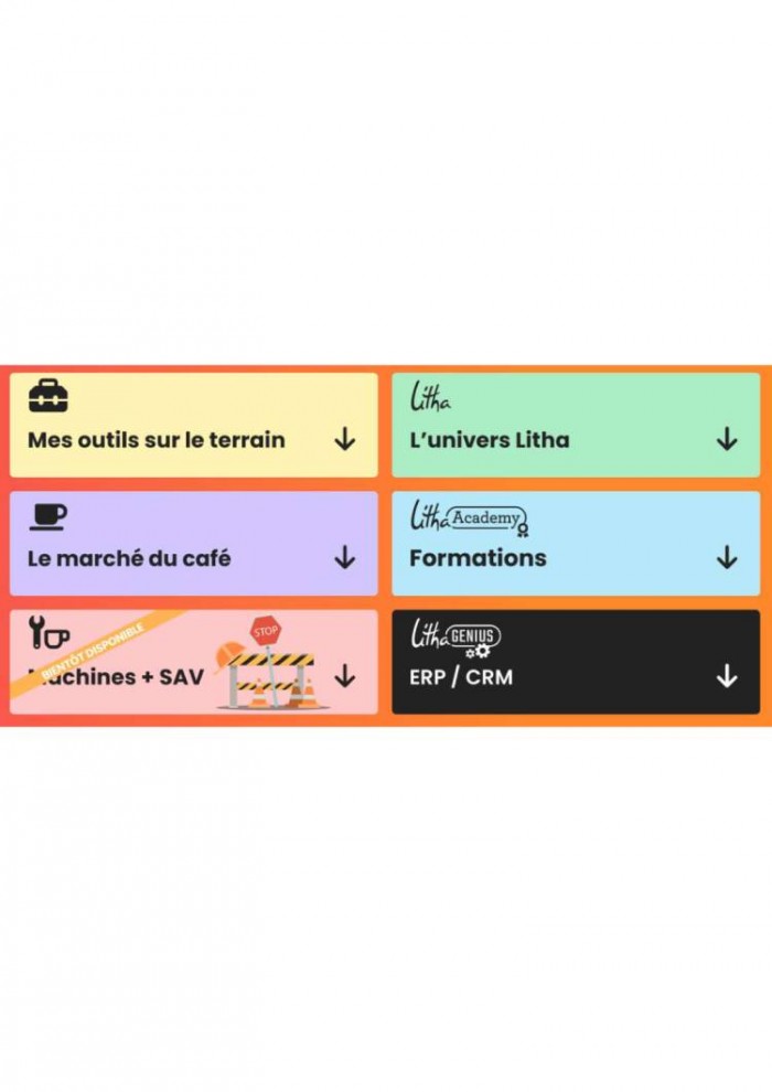 Litha Espresso: Révolutionner la Gestion des Concessionnaires avec Le Mémo